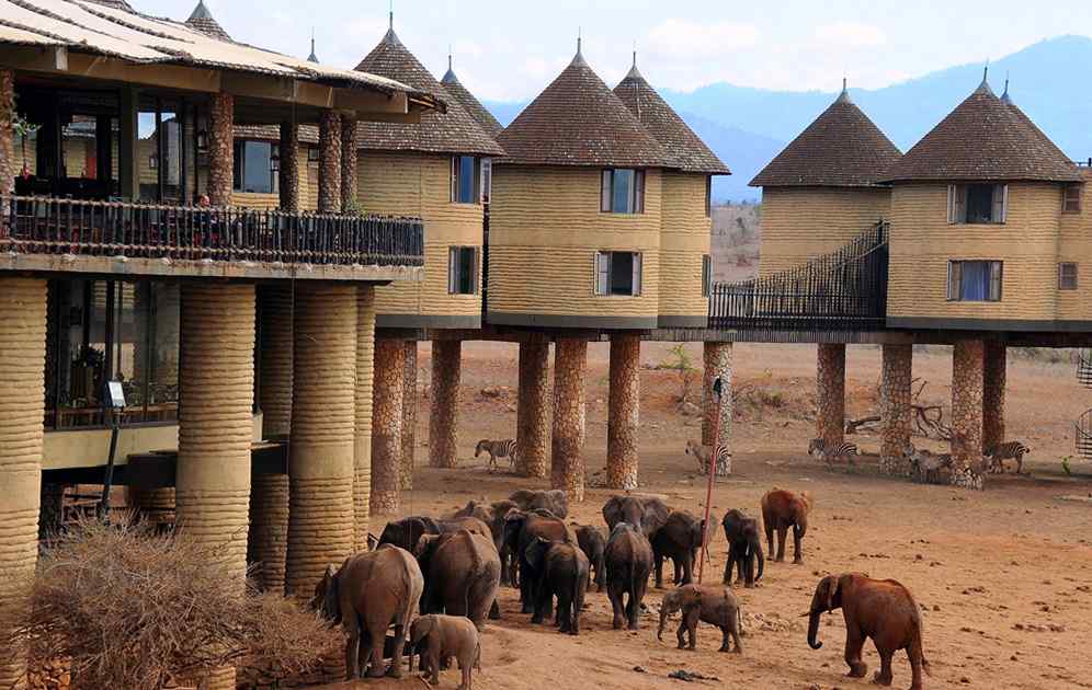 kt & safari taita lodges safari Kenya